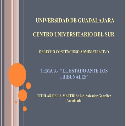 El Estado ante los Trubunales