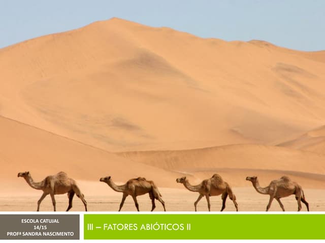 III - FATORES ABIÓTICOS II