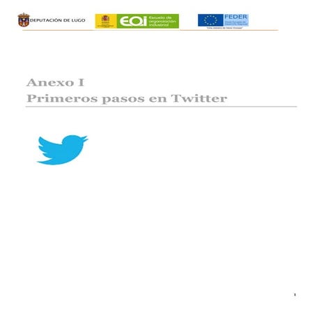 PRIMEROS PASOS EN TWITTER