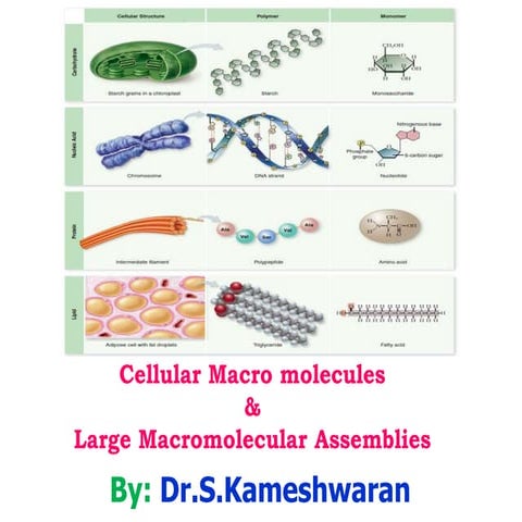 III Pharm.D - Macromolecules & LMA.ppt