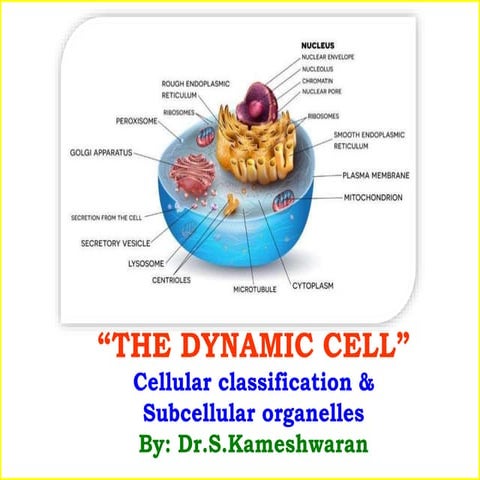 III Pharm.D - The Dynamic Cell - III Pharm.D - The Dynamic Cell - Cellular cl...
