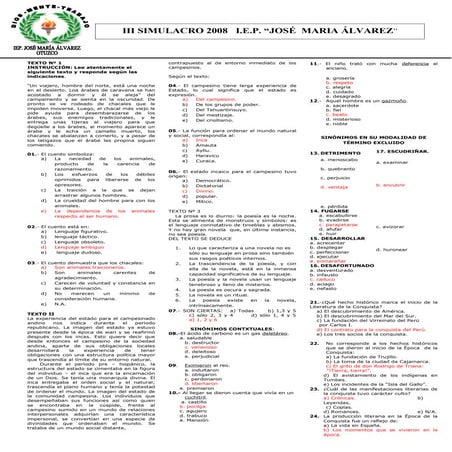 III simulacro enero 2009