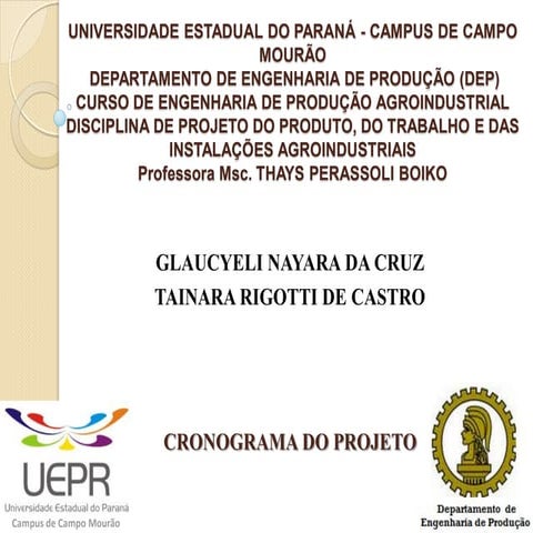 II PROJETOS - vi. CRONOGRAMA DO PROJETO