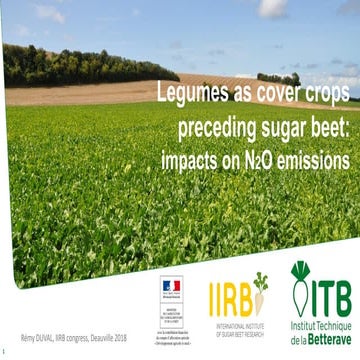 Iirb deauville duval_final