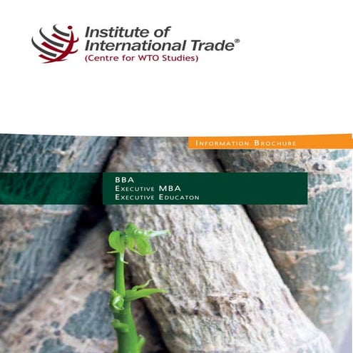 IITrade Prospectus 2011