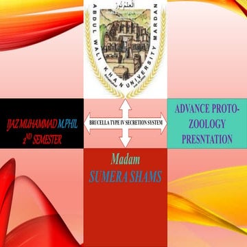 Type IV secretion system In Brucella