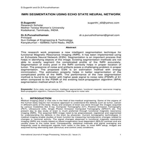 fMRI Segmentation Using Echo State Neural Network