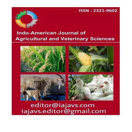 journals in research