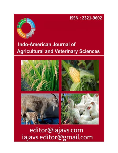 publishable paper