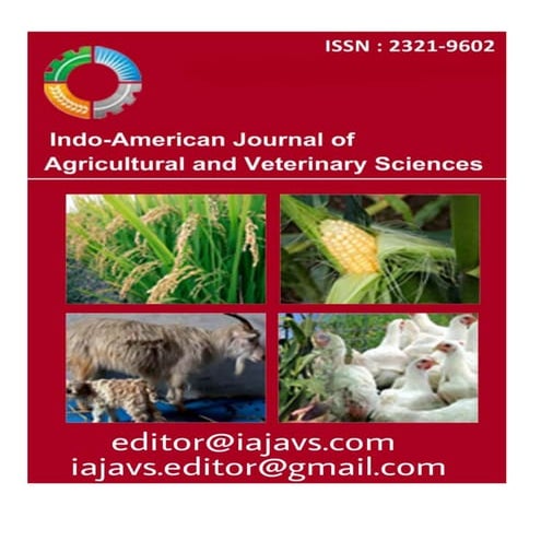 journalism research paper