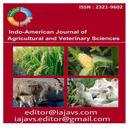 journals in research