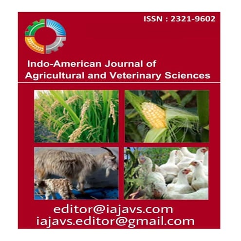 journal research paper