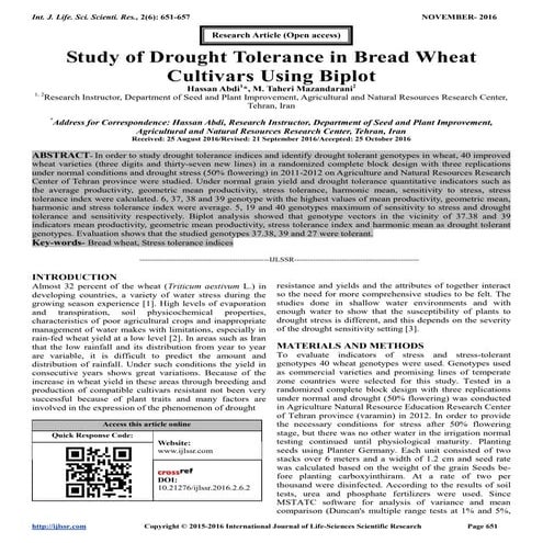 Study of Drought Tolerance in Bread Wheat Cultivars Using Biplot | PDF