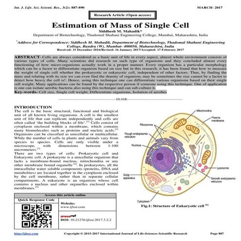 Estimation of Mass of Single Cell | PDF