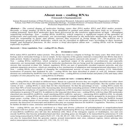 About non – coding RNAs