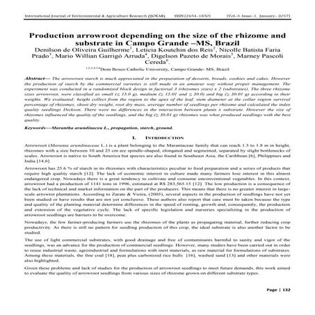 Production arrowroot depending on the size of the rhizome and substrate in Ca...
