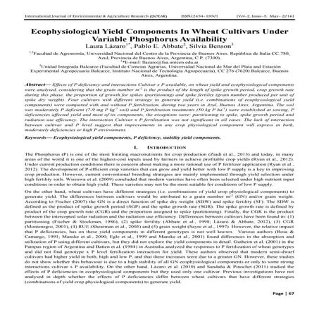 Ecophysiological Yield Components In Wheat Cultivars Under Variable Phosphoru...