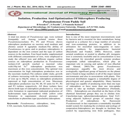 Isolation, Production And Optimization Of Siderophore Producing   Pseudomonas From Paddy Soil