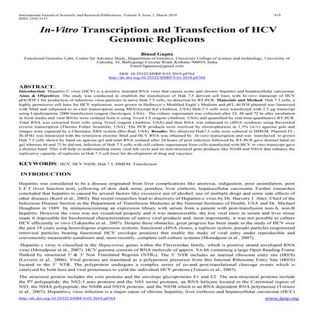 In vitro transcription and transfection of HCV genomic replicon
