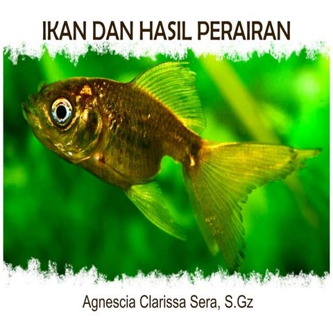 Ikan dan Hasil Perairan | PPTX