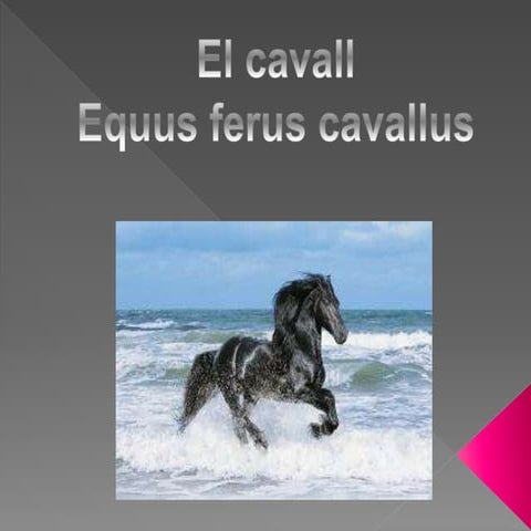 El cavall