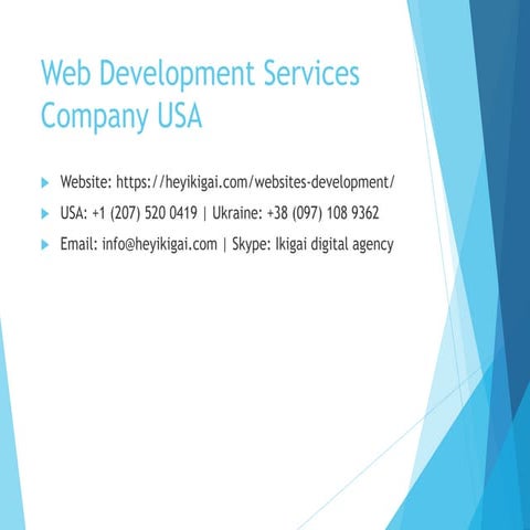 Top-tier Web Development Services in the USA | HeyIkigai