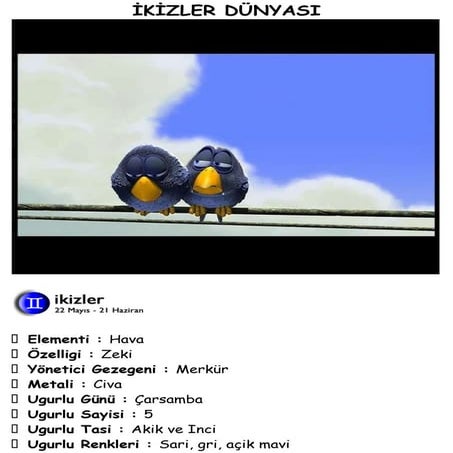 İki̇zler dünyasi