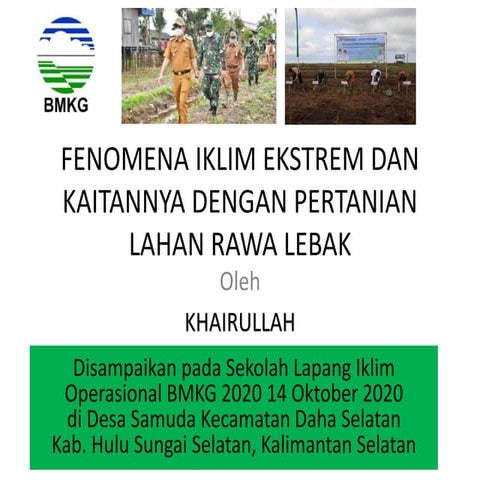 Iklim ekstrem dan pertanian rawa lebak