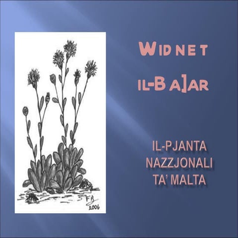 Il-Pjanta Nazzjonali ta' Malta