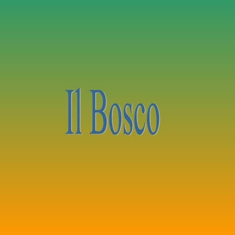 Il bosco