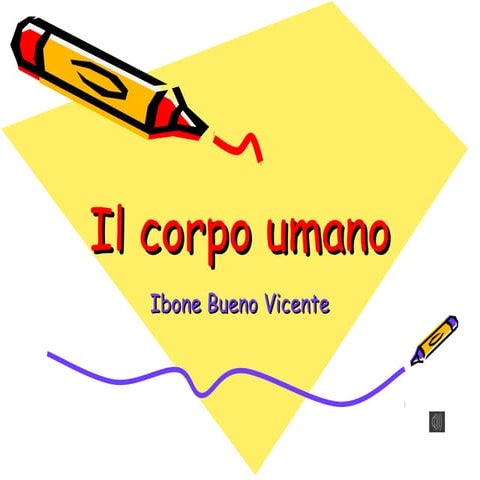Il corpo umano
