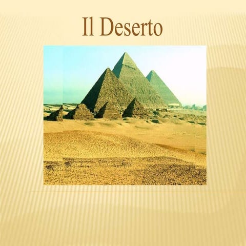 IL DESERTO