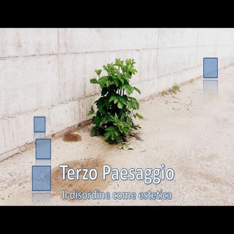 il disordine come estetica (1).pptx
