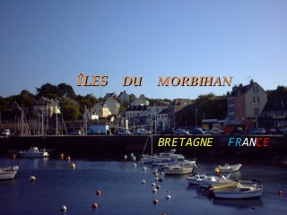 rencontre ephemere morbihan rencontre ephemere morbihan