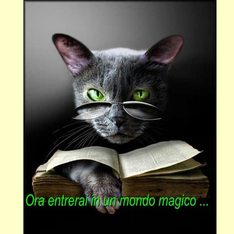 Il gatto illusionista