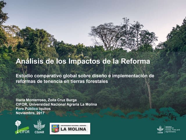 Análisis de los impactos de la reforma: Estudio comparativo global sobre diseño e implementación de reformas de tenencia en tierras forestales