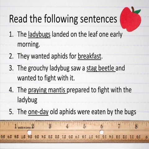 Understanding Compound Words: Types and Examples in English | PDF