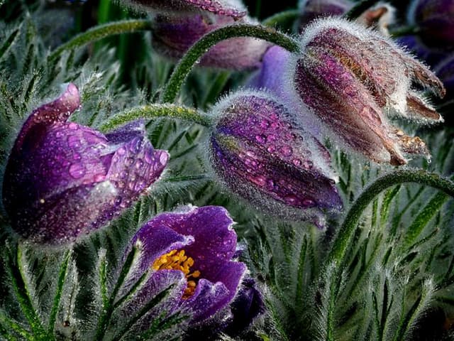 I live for the beauty that surround...