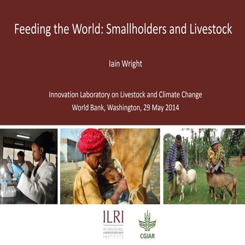 Feeding the world: Smallholders and livestock