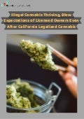 Illegal cannabis thriving, blow expectations of licensed owners even after california legalized cannabis