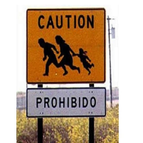 Illegal immigration