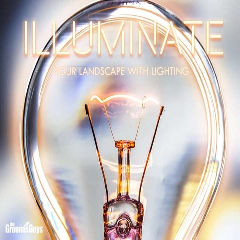 Illuminate Your Landscape with Lighting | Tips from The Grounds Guys®