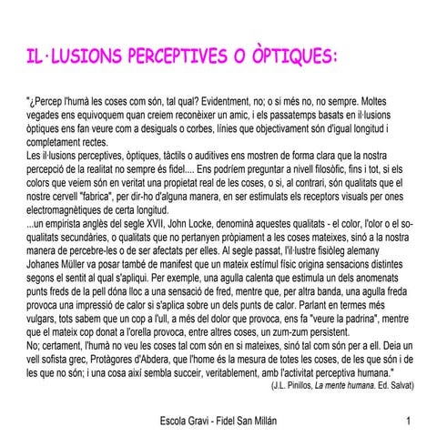 Il Lusions Optiques