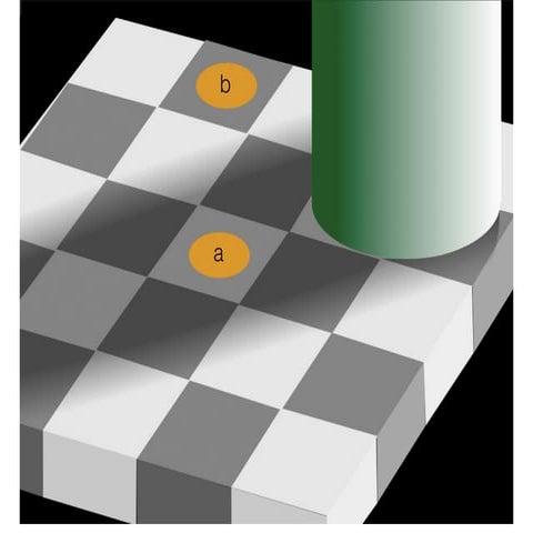 Illusions v2 | PDF