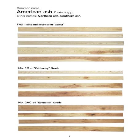 Illustrated Grading Guide | PDF