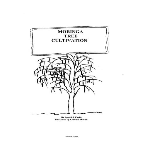 Illustrated brochure on_planting_moringa