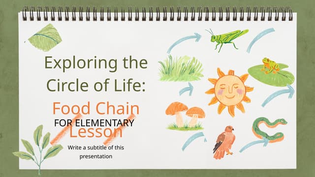 Illustrative zzzzxxNotebook Exploring the Circle of Life_ Food Chain Lesson f...