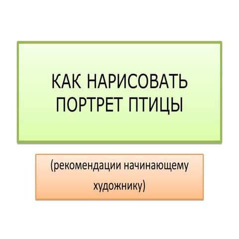 как нарисовать портрет птицы | PPT