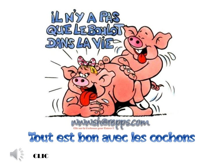 Tout est bon avec le cochon