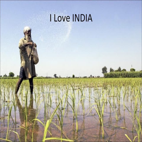  I Love india